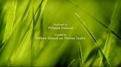 خیلی خیلی کوچک (2) (اگر تنها بودم)